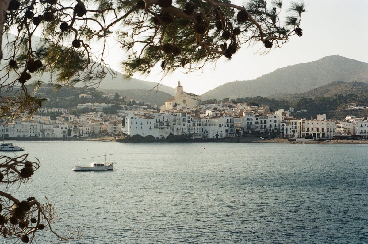 A white waterfront town and a sailboat framed by overhanging branches.